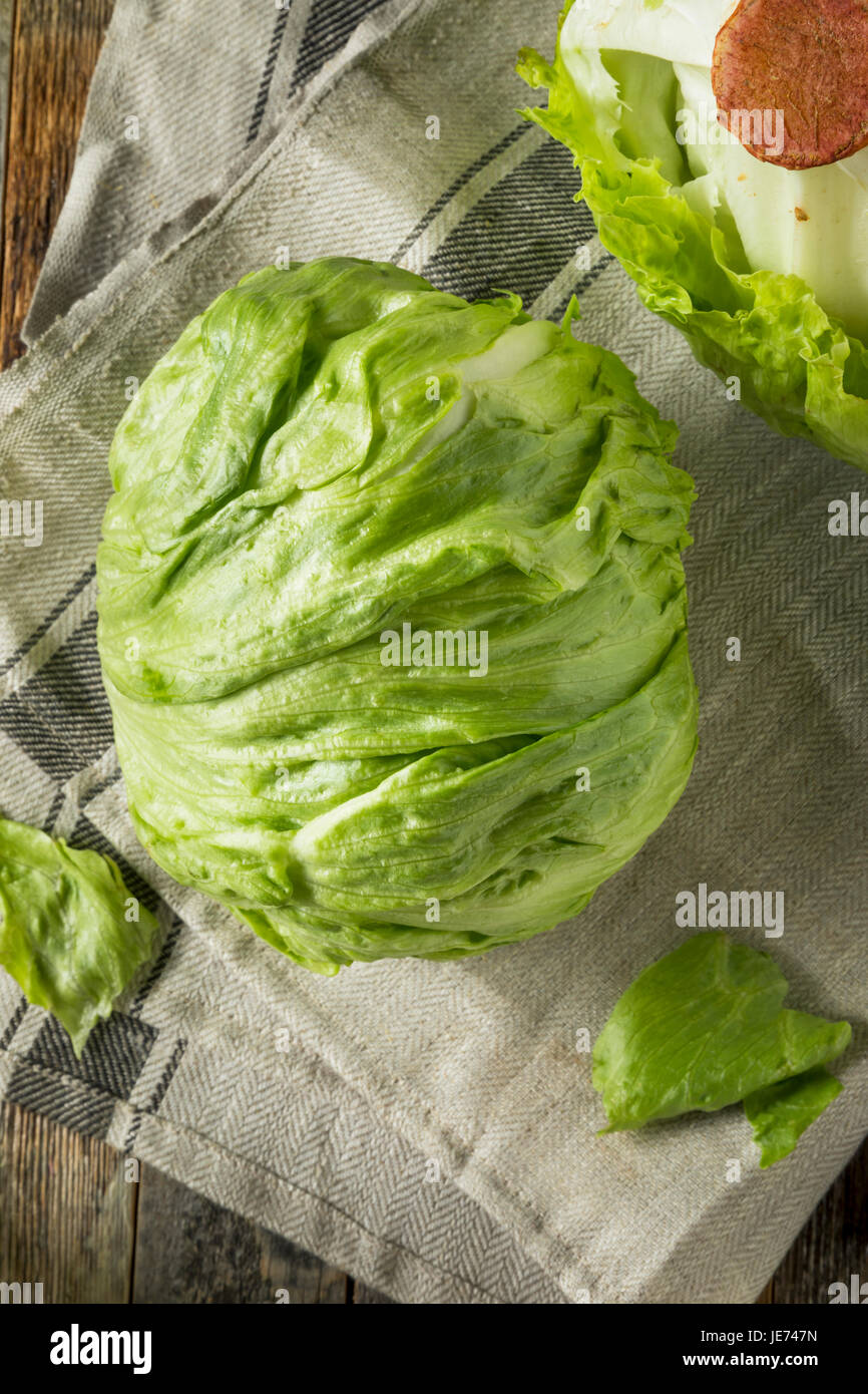 Raw Organic Round Crisp Iceberg Lettuce Ready to EAt Stock Photo Alamy
