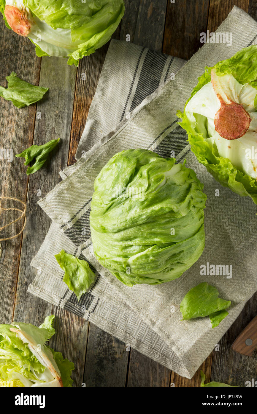 Raw Organic Round Crisp Iceberg Lettuce Ready to EAt Stock Photo Alamy