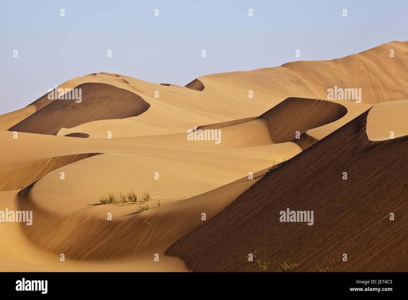 Africa, Namibia, Erongo region, Namib Naukluft park, dune area, South-West Africa, Namib, Namib Naukluft park, Rooibank, Walvis-Bay, desert, Sand desert, dunes, Sandrippel, Sand waves, Sand sea, formed in wind, lonely, splendidly, impressively, untouched, dry, life-hostilely, vertical format, sunshine, shade, Stock Photo