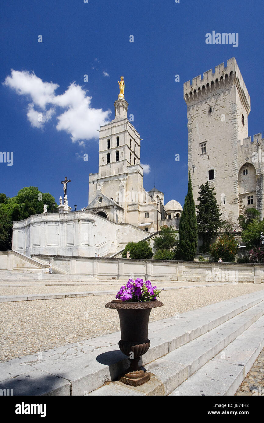 France, Provence, Avignon, town view, pope's palace, town, palace, doubles palace, structure, tower, Marien's statue, architecture, culture, place of interest, destination, tourism, UNESCO-world cultural heritage, Stock Photo