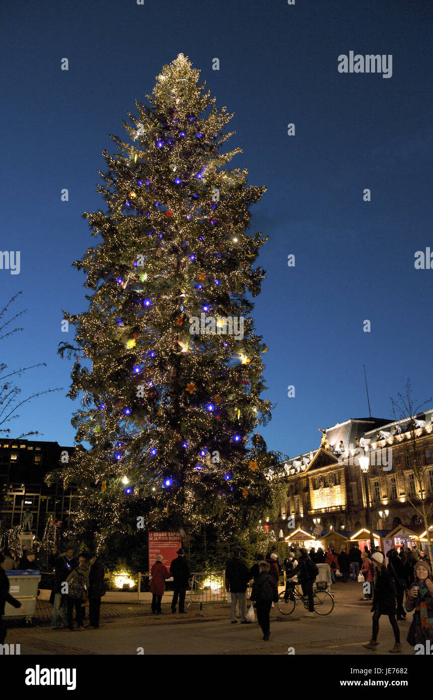 Europe, France, Alsace, Strasbourg, Christmas tree on the glue space, Stock Photo