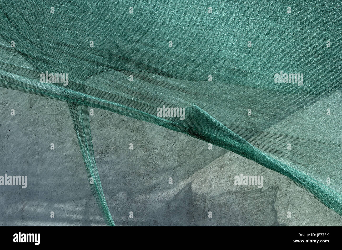 Network Tissue Conception, network, tissue Stock Photo - Alamy