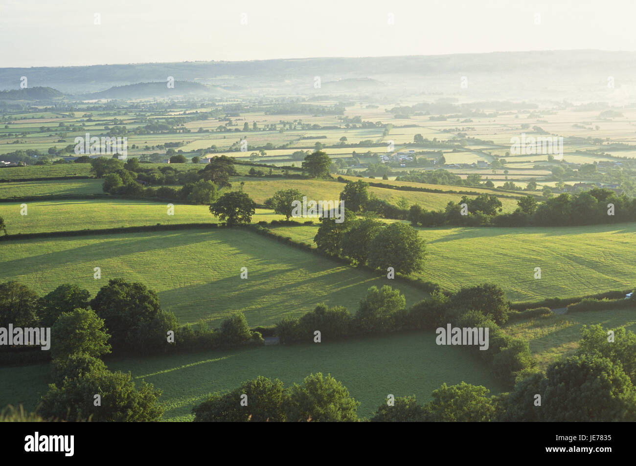 Great Britain, England, Somerset, scenery, fields, view, hazy, Europe, width, distance, field scenery, trees, demarcation, agriculture, foggy, sunny, Stock Photo