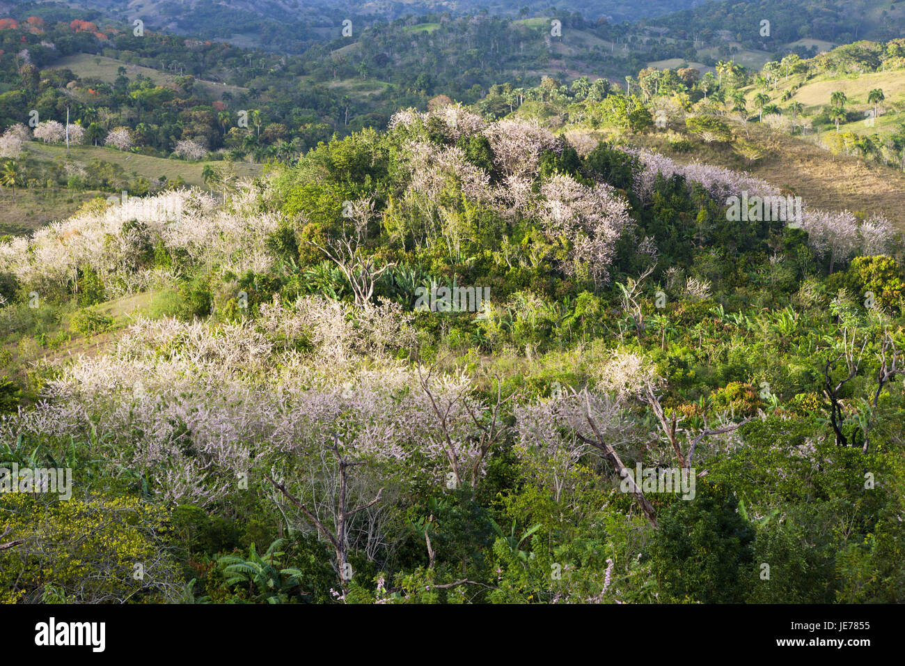 Hill scenery in the hinterland, Punta Rucia, the Dominican Republic, Stock Photo