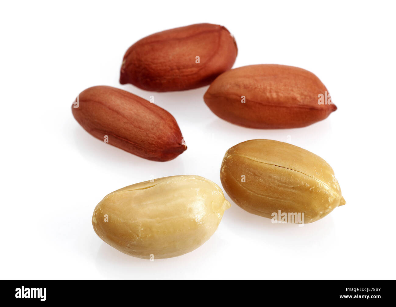 Peanuts, Arachis hypogaea, white background, Stock Photo