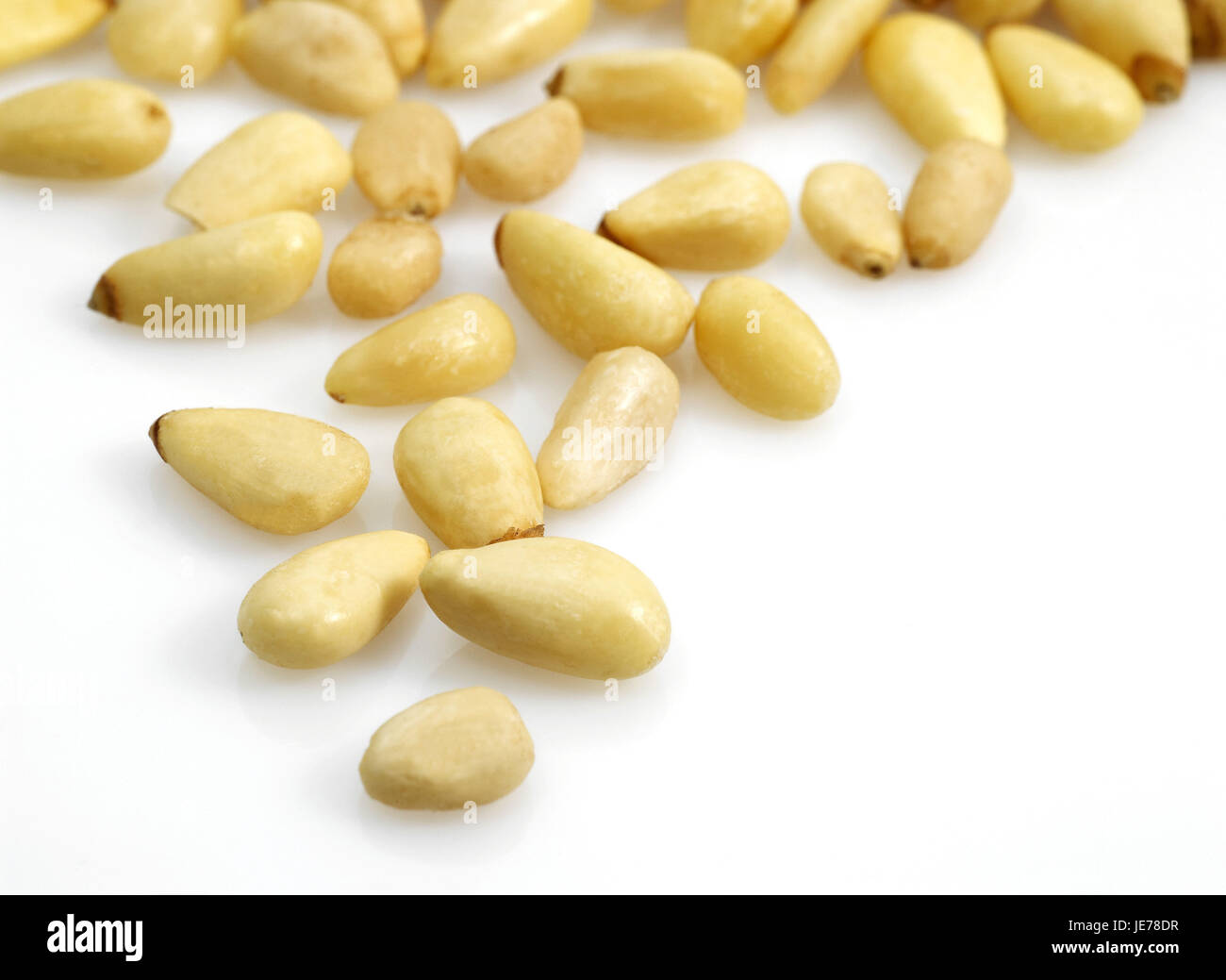 Pine nuts, Pinus sp., white background, Stock Photo