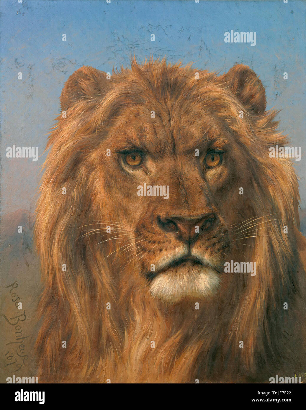 Rosa Bonheur - Portrait of a Lion - Prado Stock Photo - Alamy