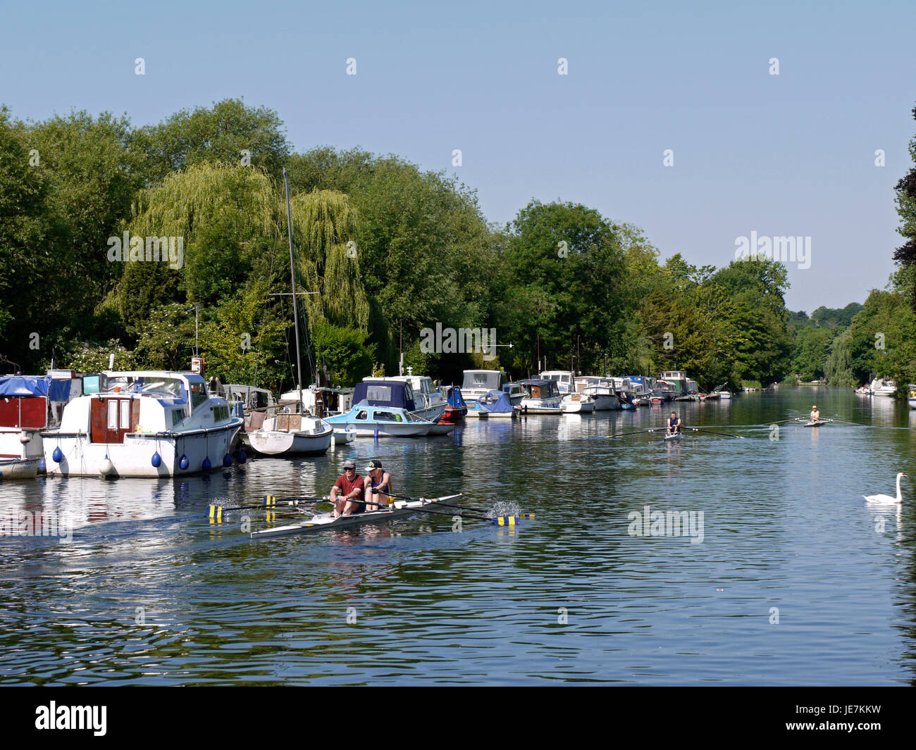 Rowing on The River Yare, part of The Broads National Park, at Thorpe