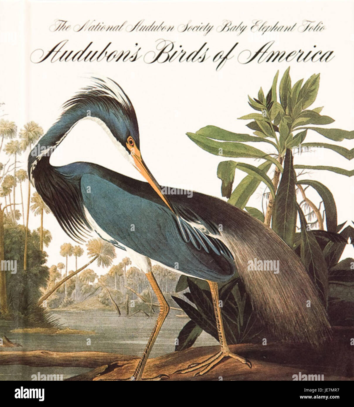 Audubon Birds of America Stock Photo