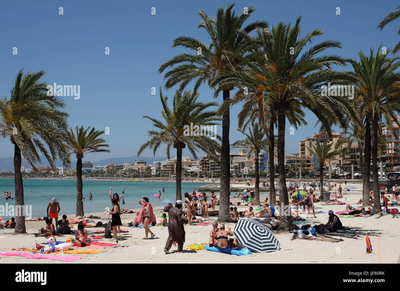 Playa De Palma Mallorca Wetter