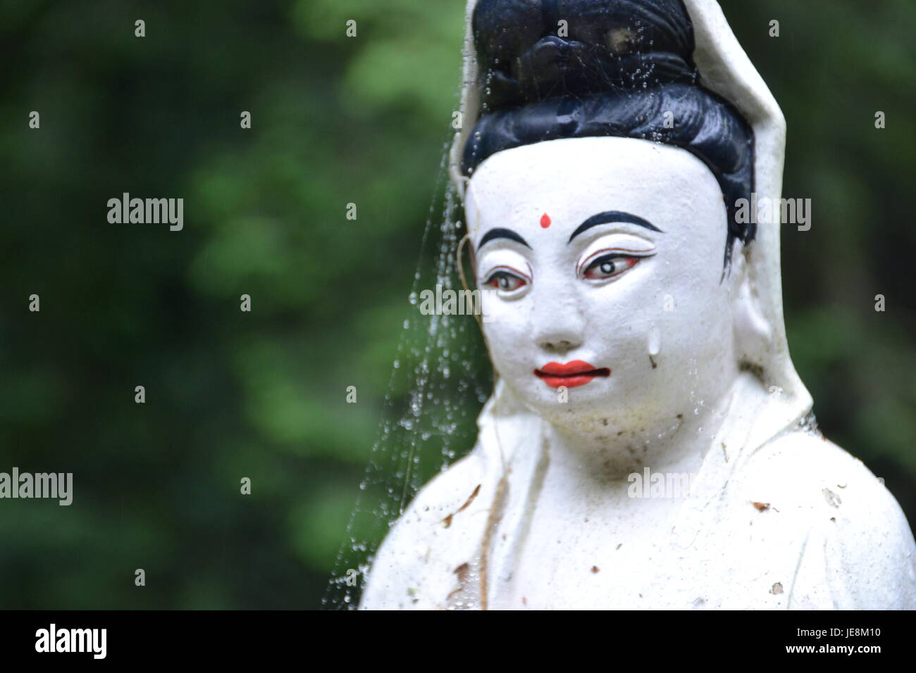 Land of the Medicine Buddha, California Stock Photo Alamy