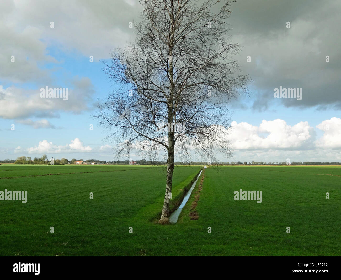 Polder Halfweg is a reclaimed land area in the Netherlands, located ...