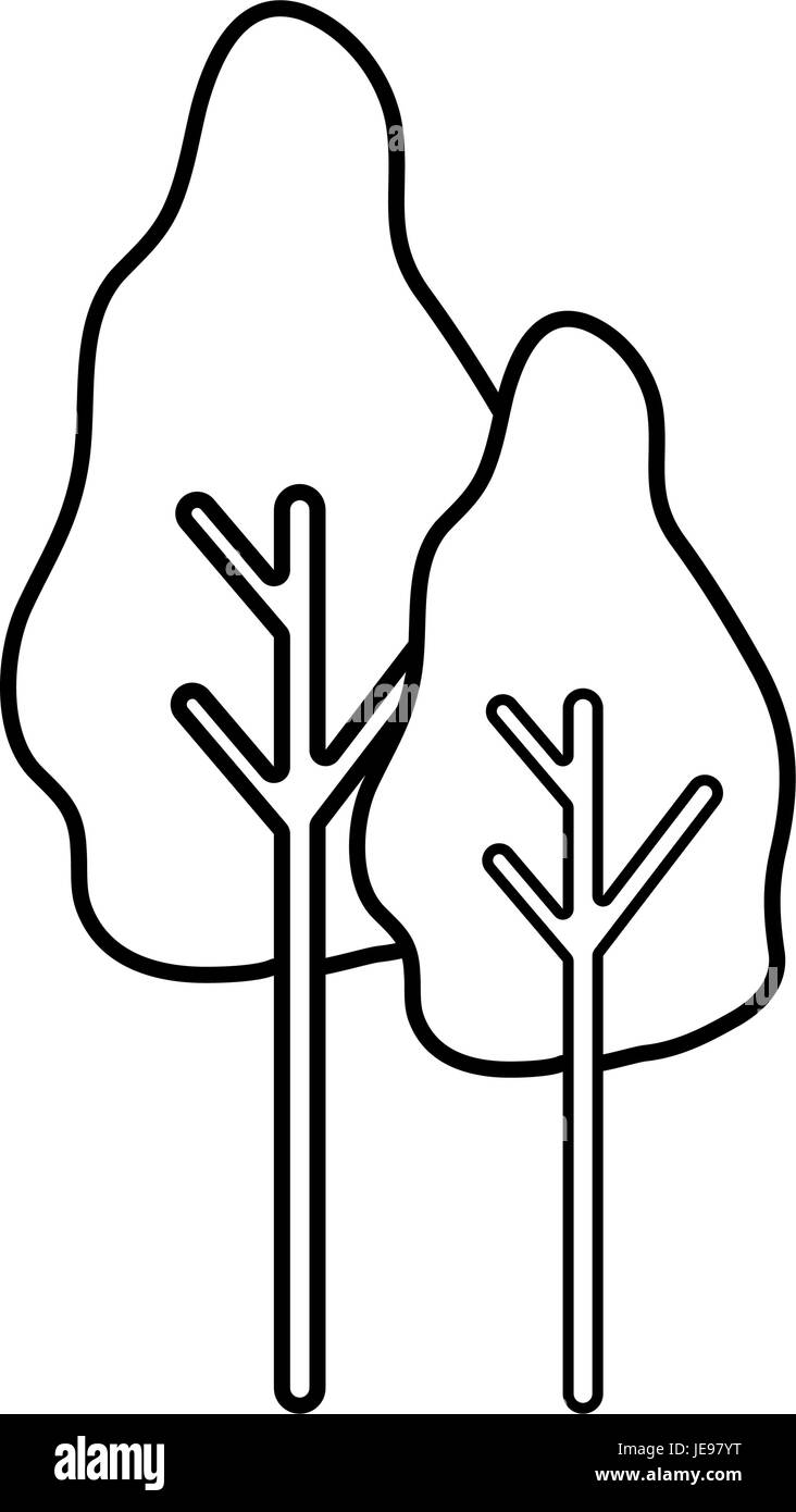 line natural trees with botany icons Stock Vector Image & Art - Alamy
