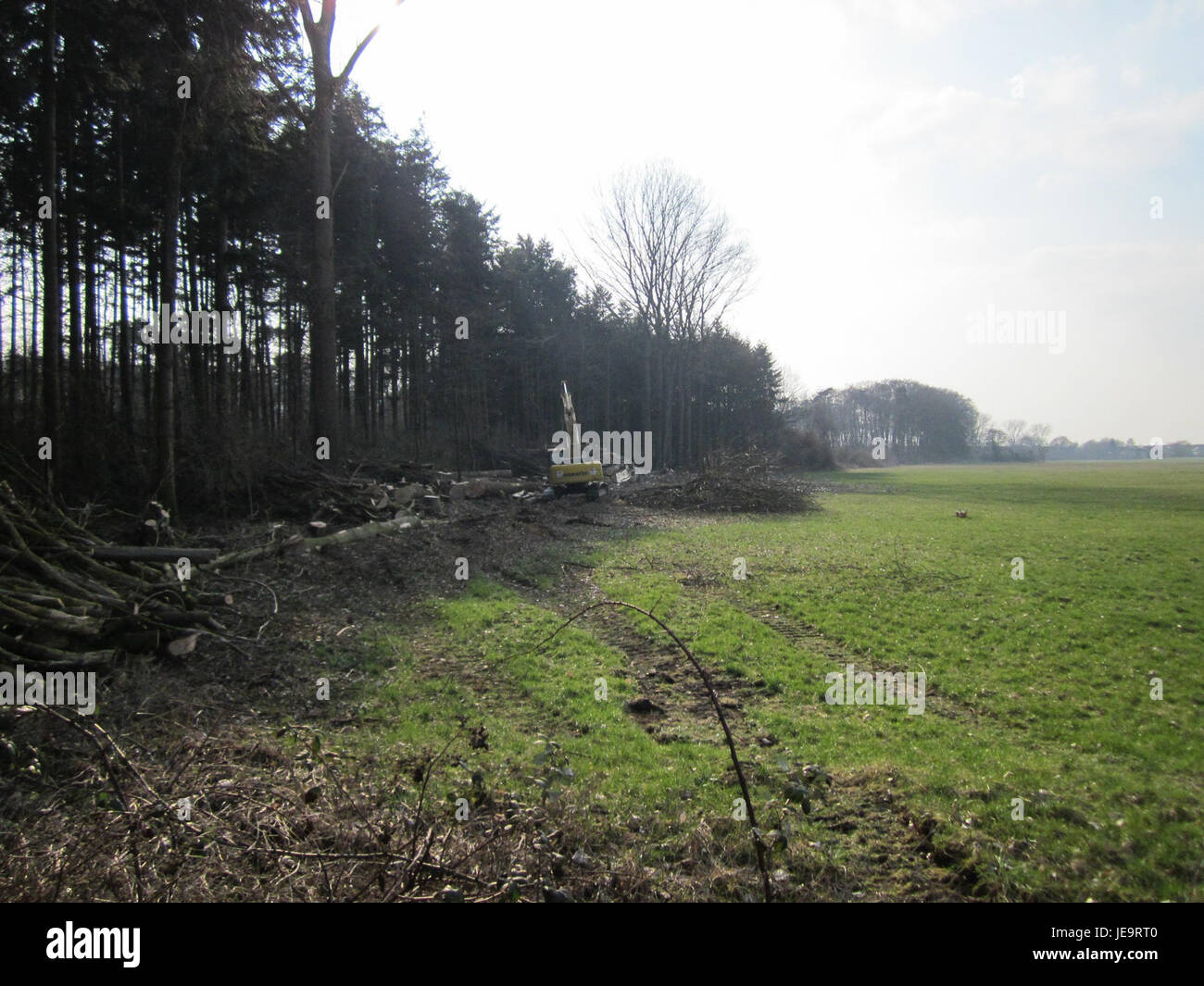 The photograph, taken on March 27, 2013, shows tree-felling activities ...