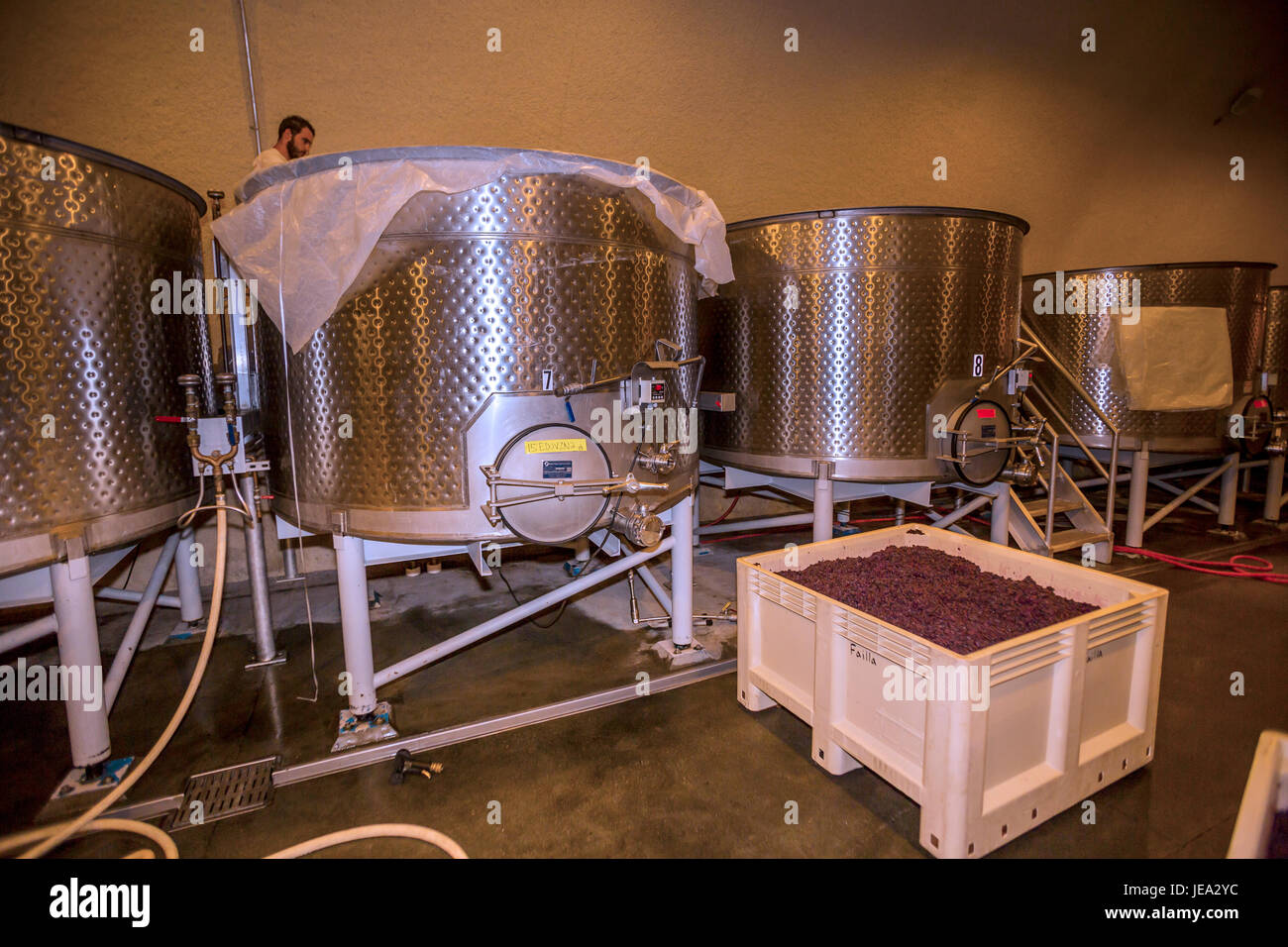 winery worker, cleaning stainless steel fermentation tank, fermentation
