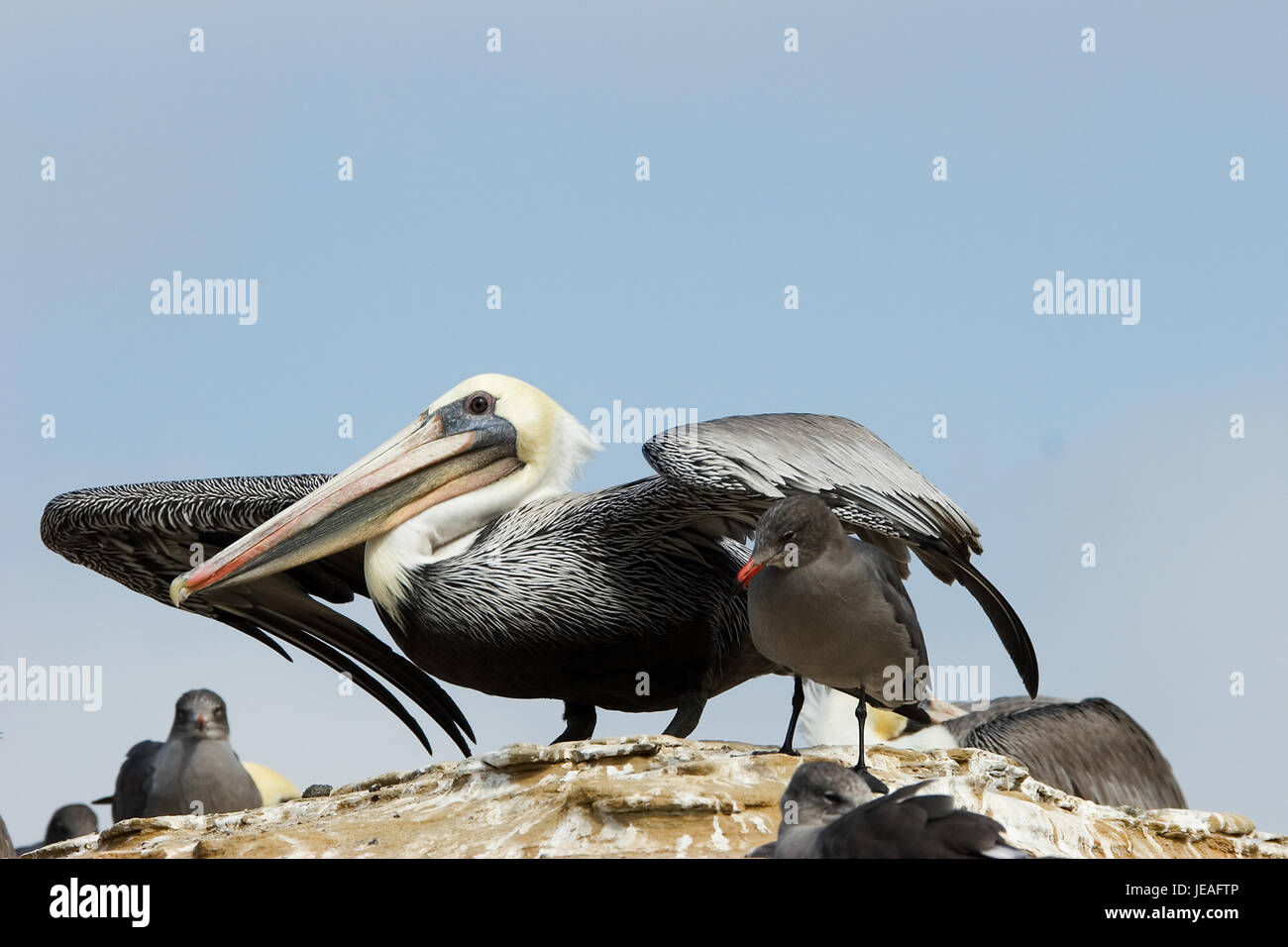 San Diego, USA, Landscape Stock Photo - Alamy