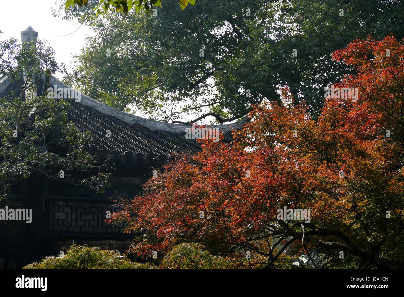 2014.11.21.112624 Three Pools Mirroring the Moon Xihu Hangzhou Stock