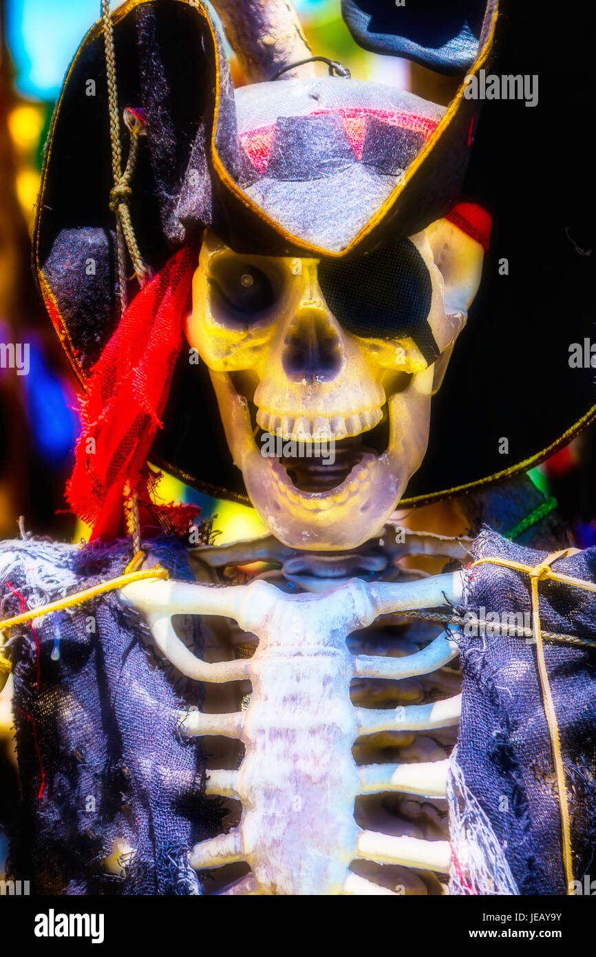 Pirate Skeleton Stock Photo