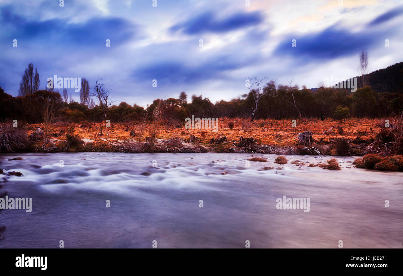 Sunset and gum tree hi-res stock photography and images - Alamy