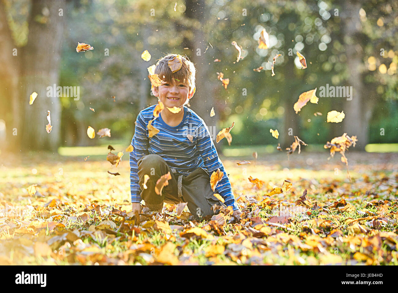boy playing in autumn leaves Stock Photo - Alamy