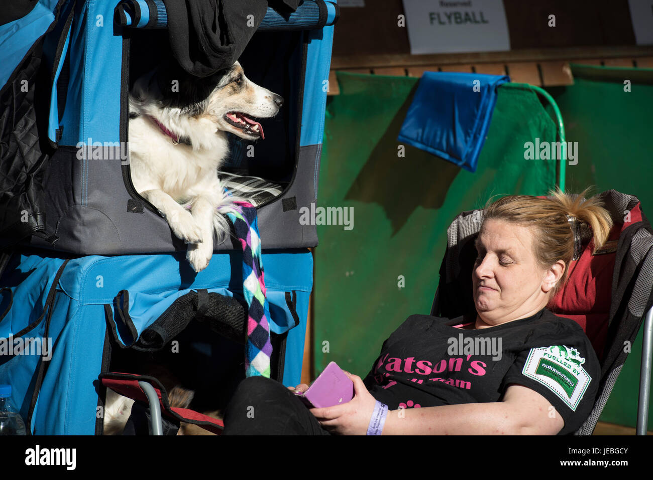 NEC, BIRMINGHAM, ENGLAND, UK. 9th MARCH 2017. Pictured:  Competitors take a break in the sun entering the NEC. / First held in 1891, Crufts is said to Stock Photo