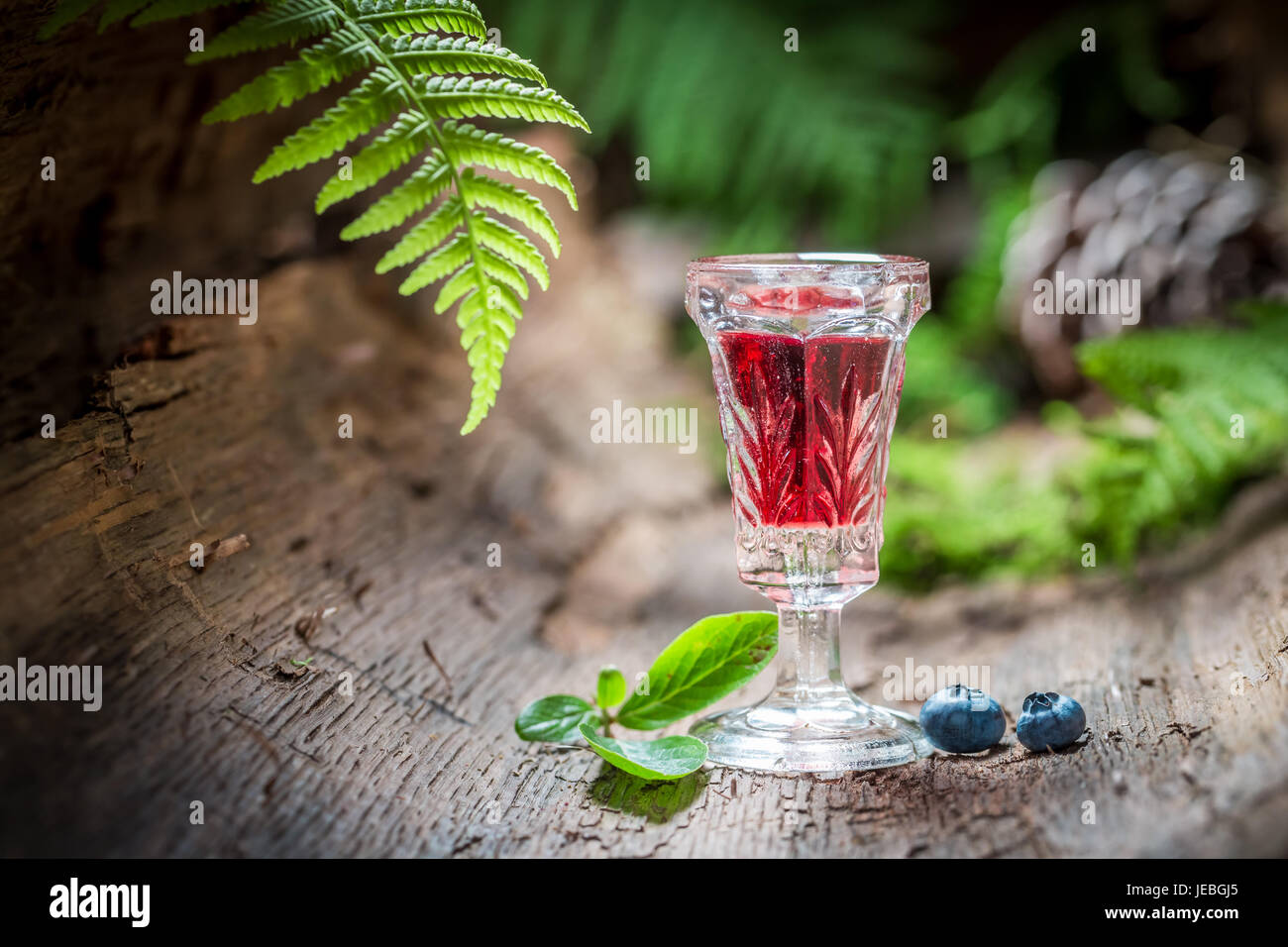 Closeup of liqueur with alcohol and blueberries in summer Stock Photo