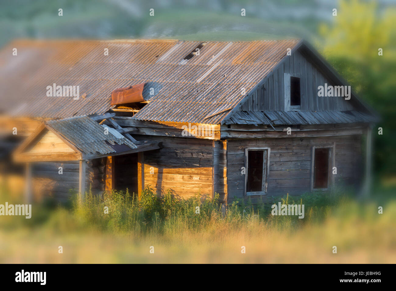 Old abandoned wooden house, overgrown grass on a bright sunny summer