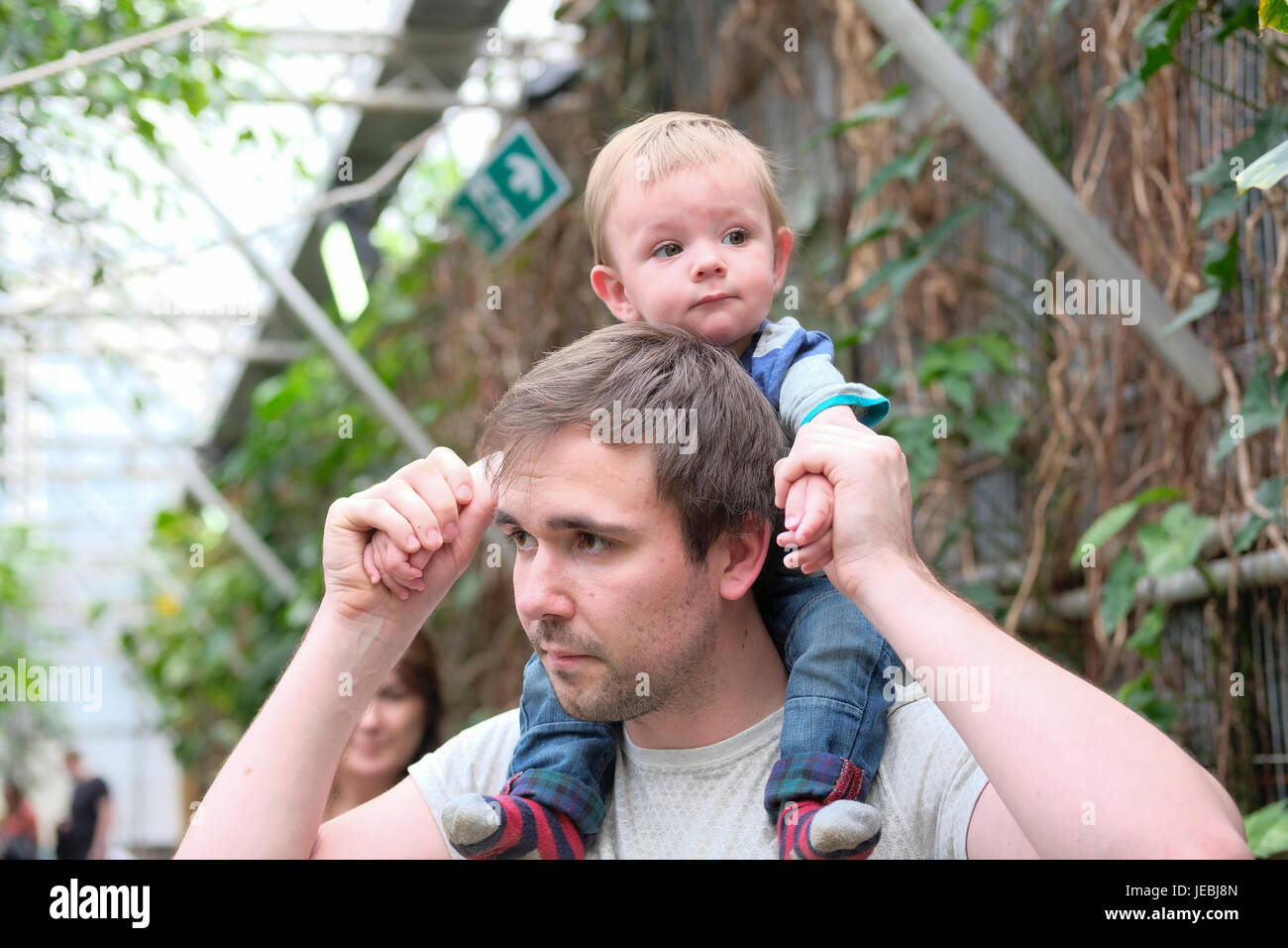 baby boy riding on dad's shoulders Stock Photo