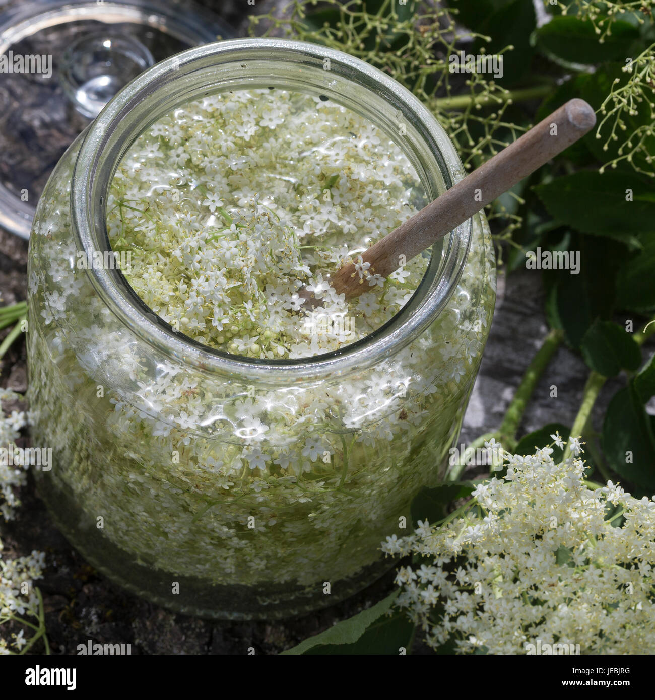 Elegantes Holunderblten Gelee Thermomix Bild