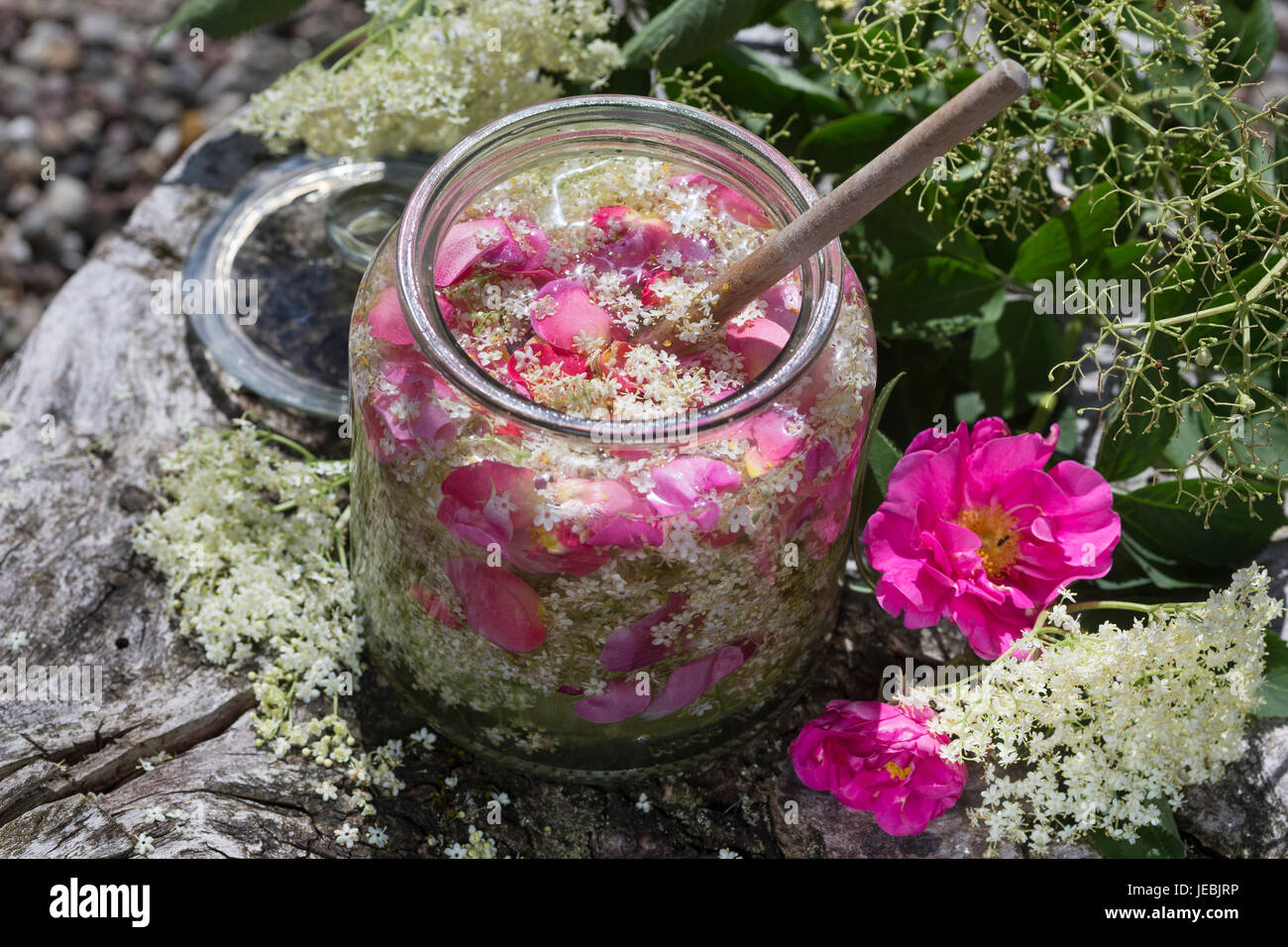 Holunderblüten-Sirup gemeinsam mit Blütenblättern von Apothekerrose, Holunderblütensirup, Sirup aus Holunderblüten, Holunderblüte, Holunder-Blüte, Blü Stock Photo