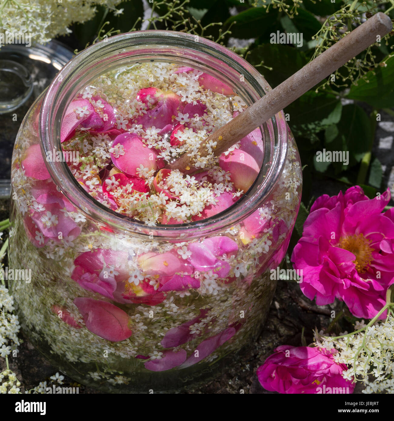 Holunderblüten-Sirup gemeinsam mit Blütenblättern von Apothekerrose, Holunderblütensirup, Sirup aus Holunderblüten, Holunderblüte, Holunder-Blüte, Blü Stock Photo