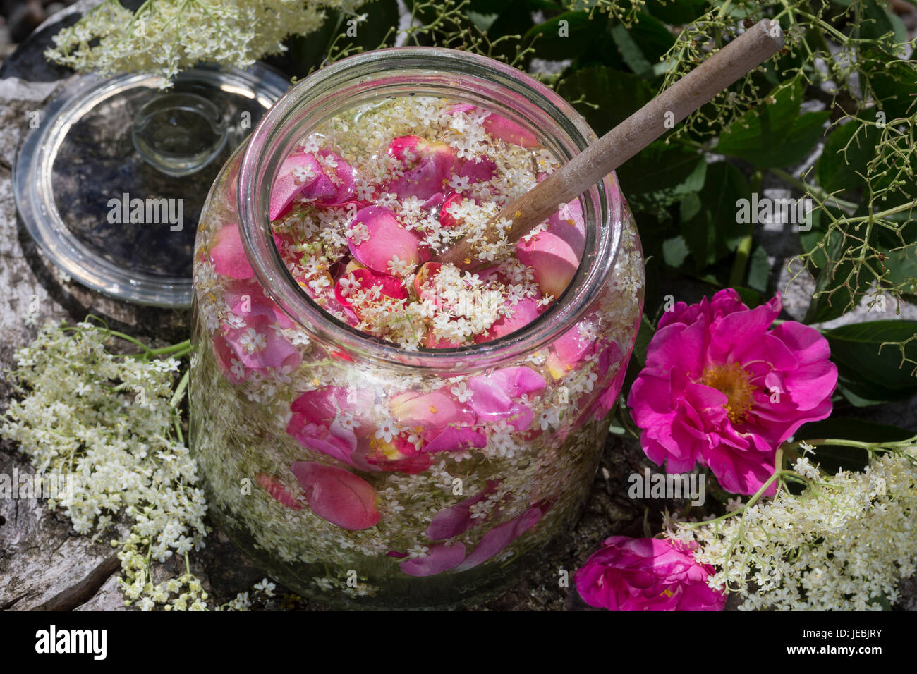 Holunderblüten-Sirup gemeinsam mit Blütenblättern von Apothekerrose, Holunderblütensirup, Sirup aus Holunderblüten, Holunderblüte, Holunder-Blüte, Blü Stock Photo