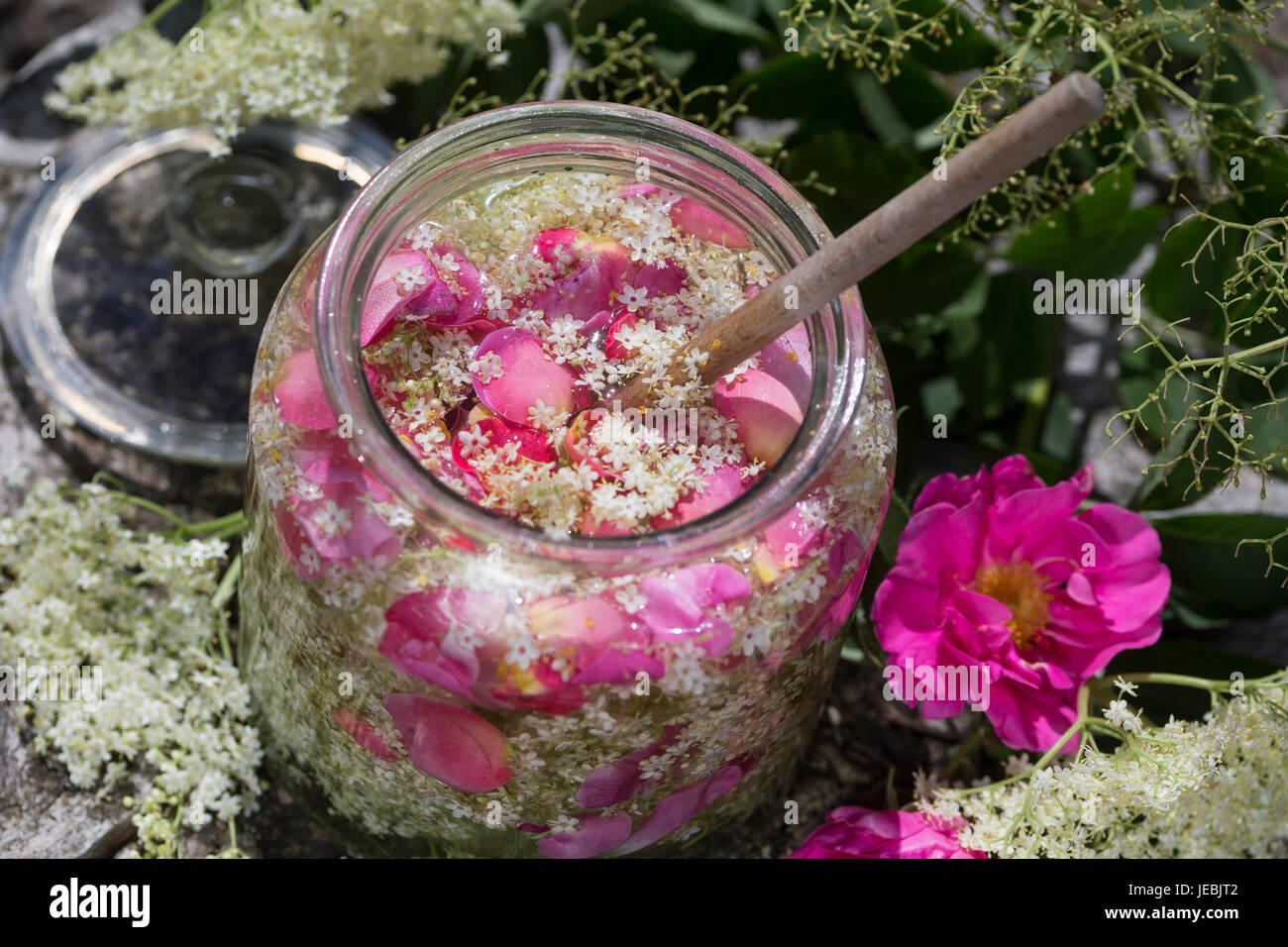 Holunderblüten-Sirup gemeinsam mit Blütenblättern von Apothekerrose, Holunderblütensirup, Sirup aus Holunderblüten, Holunderblüte, Holunder-Blüte, Blü Stock Photo