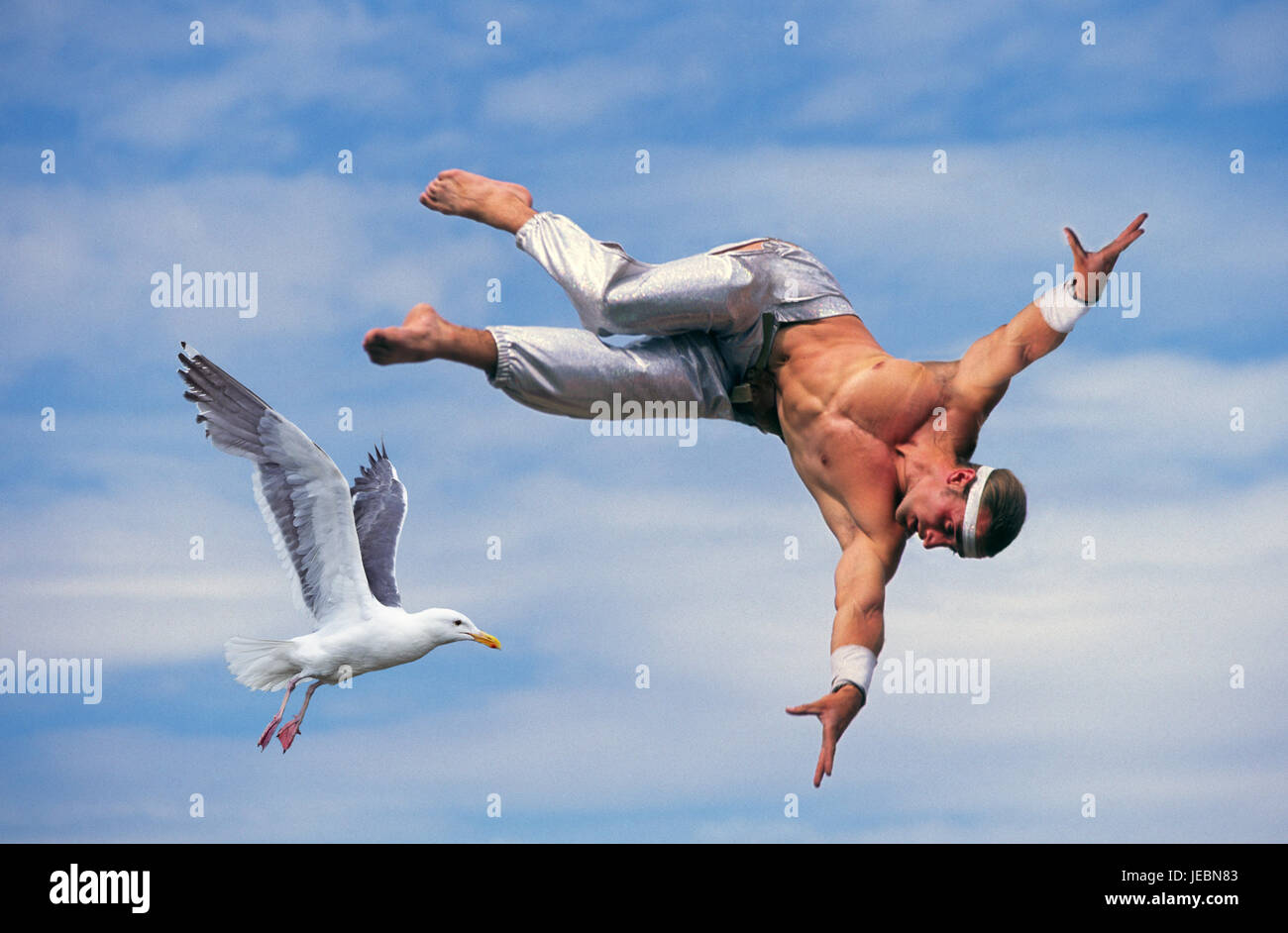 A man on the flying trapeze flies with a seagull. Stock Photo