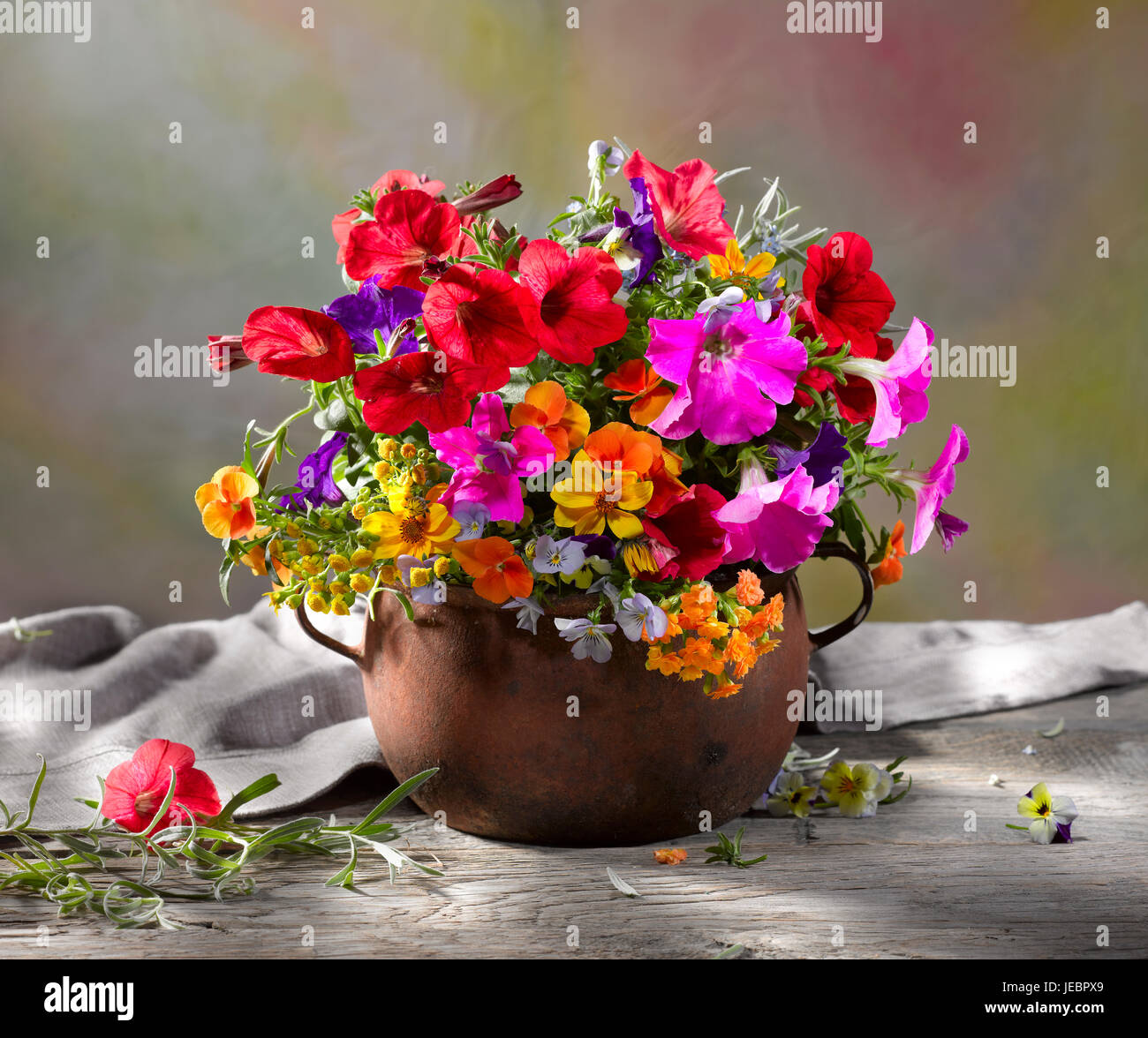 Bouquet of flowers with surfinias. Stock Photo