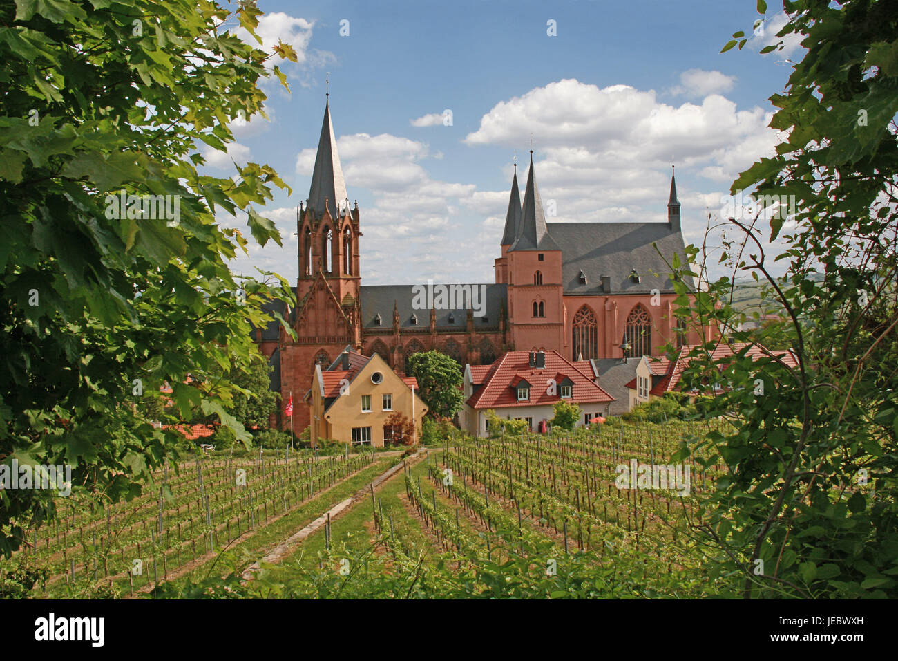 Germany, Rhineland-Palatinate, Oppenheim on the Rhine, St. Catherine's Church, church, faith, religion, Oppenheim, steeple, Rhine Hessian, vineyards, Stock Photo