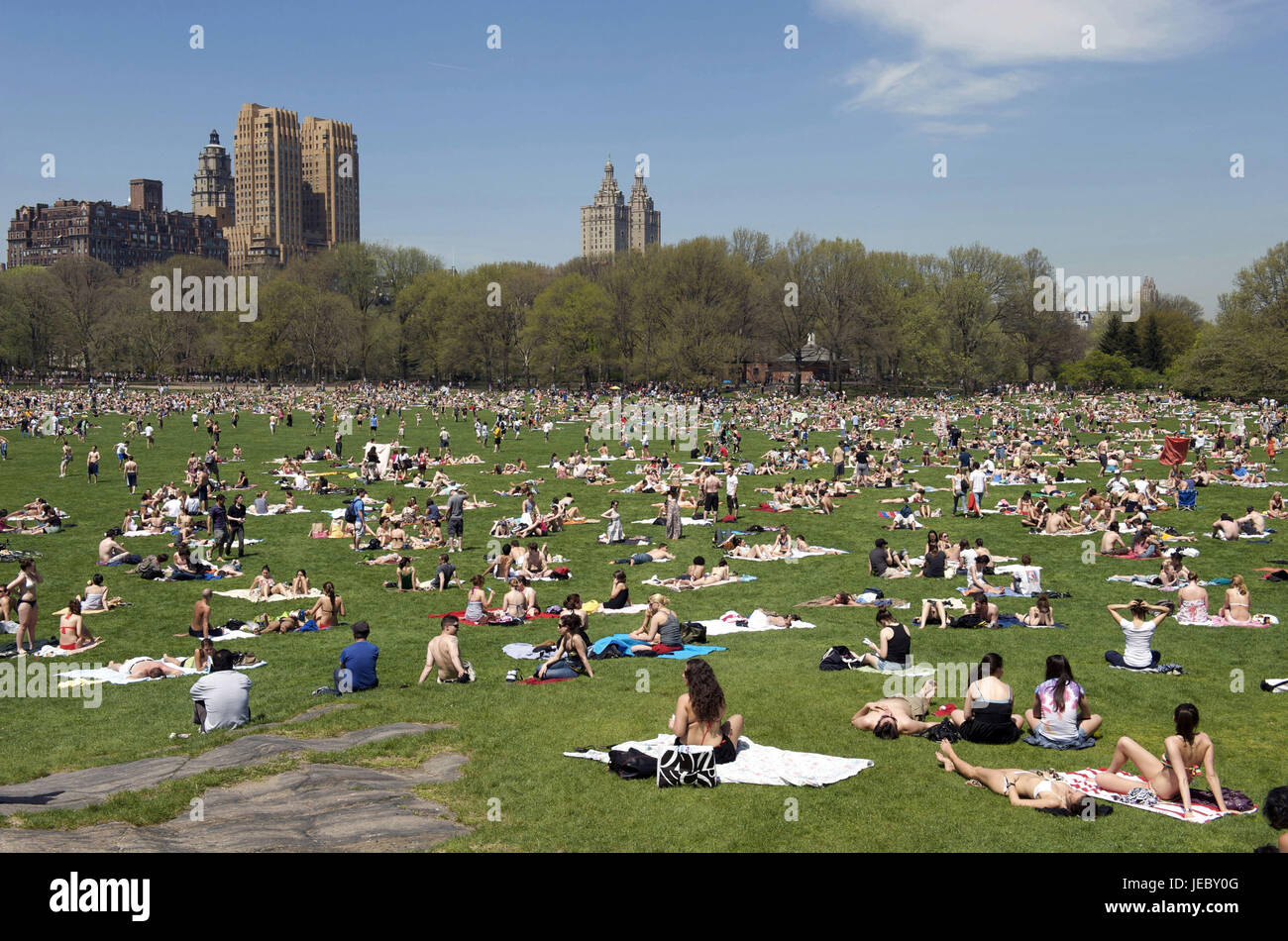 The USA, America, New York, Manhattan, Central park, person with the ...