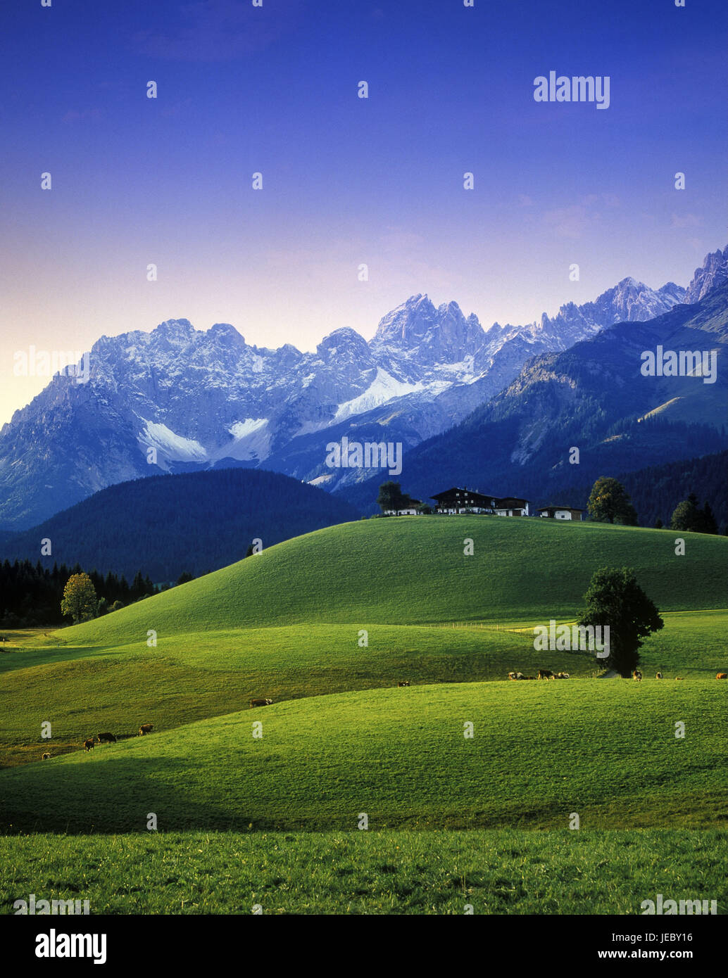 Austria, Tyrol, farm near Kitzbuehel against wild emperor, Stock Photo