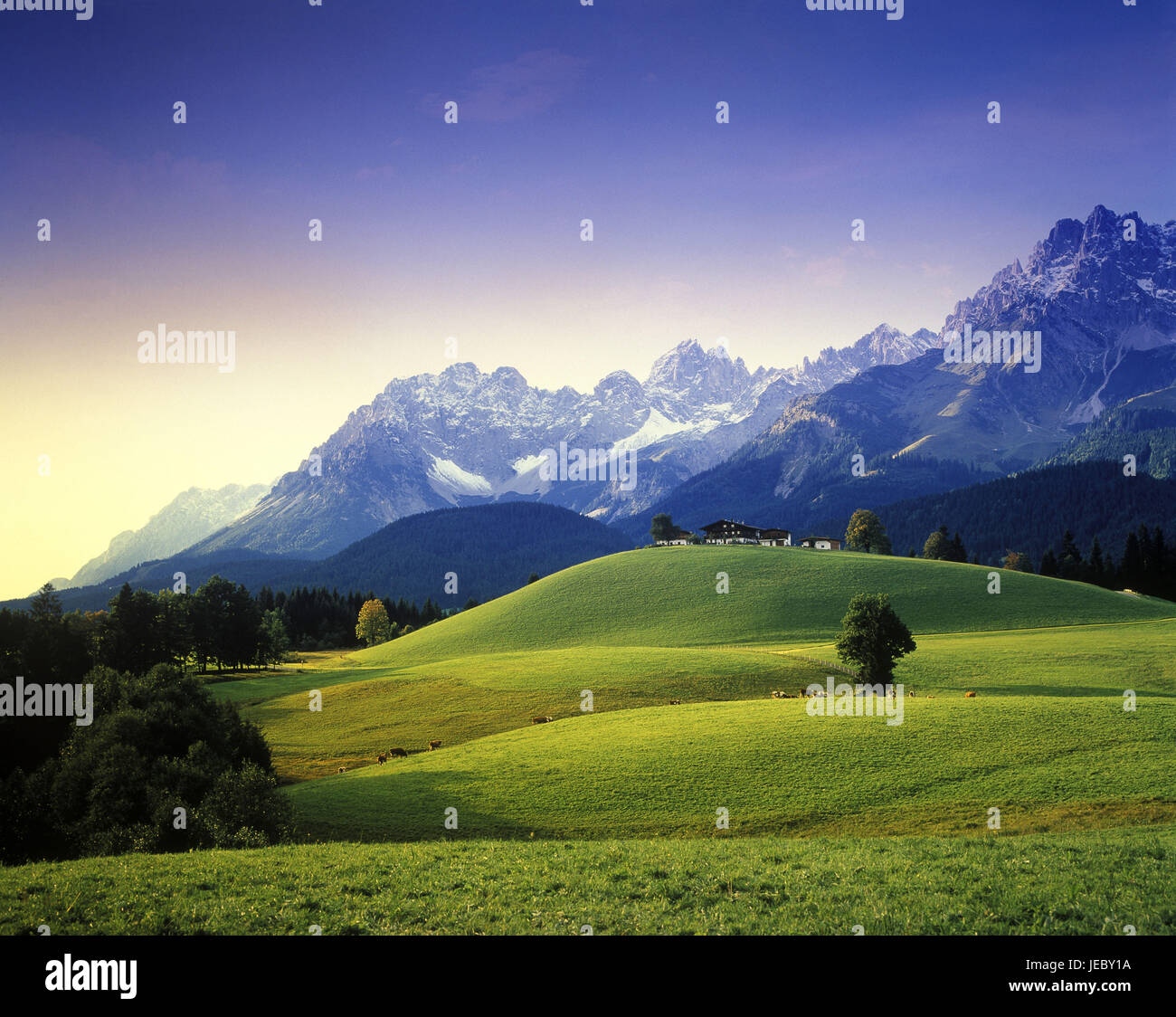 Austria, Tyrol, farm near Kitzbuehel against wild emperor, Stock Photo