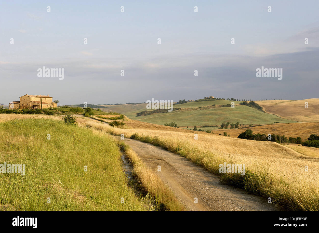 Italy, Europe, Tuscany, Val d'Orcia, region of Pienza, farmhouses, Stock Photo