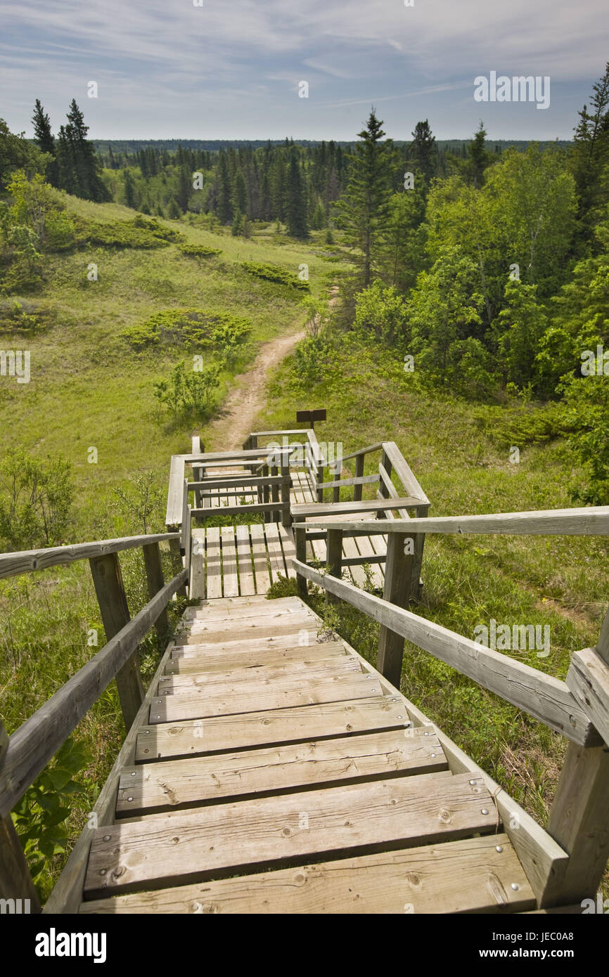 Canada, Manitoba, Spruce Woods Provincial Park, Spirit Sand Trail, wooden stairs, detail, Stock Photo