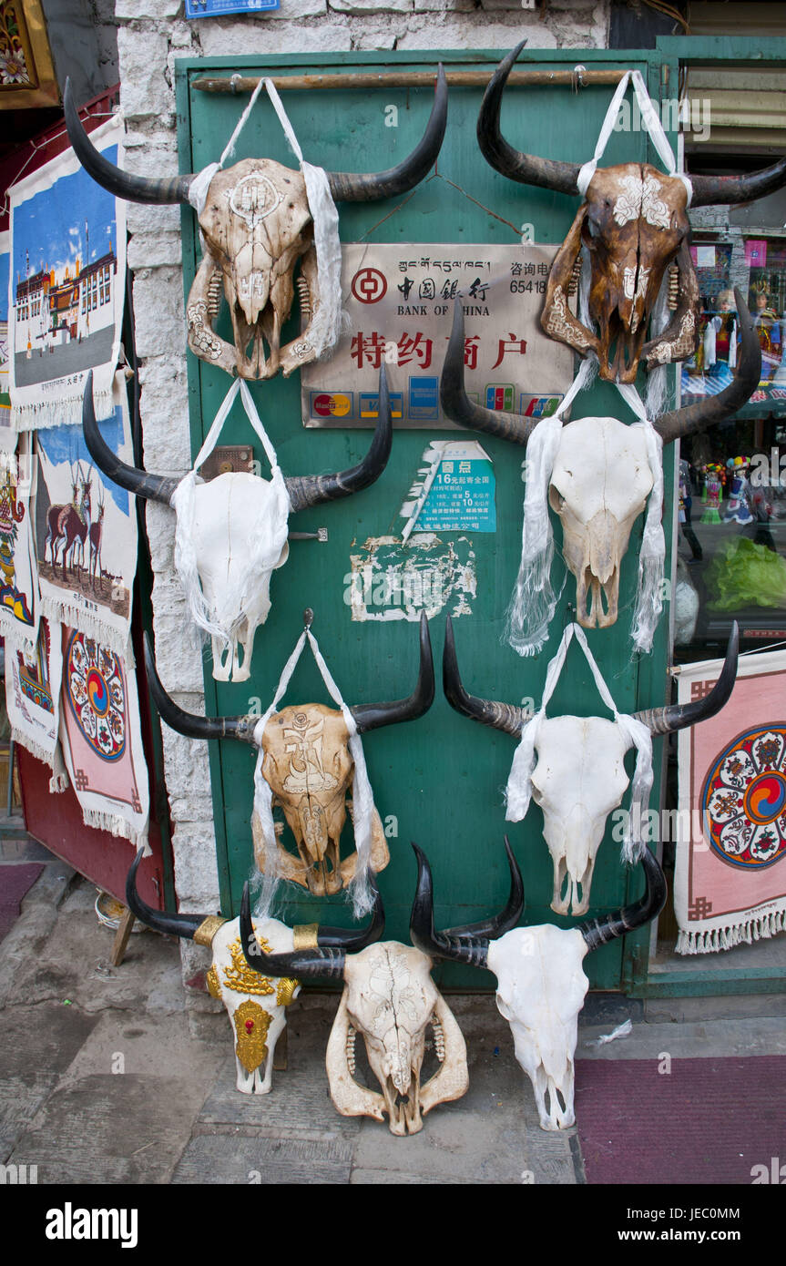 Yak's skull bones with grace notes to the sales, Lhasa, Tibet, Asia