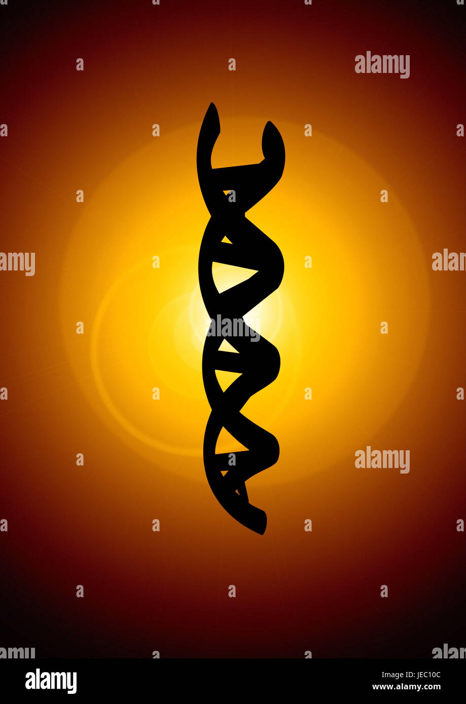DNA helix, alpha doubles helix, Stock Photo