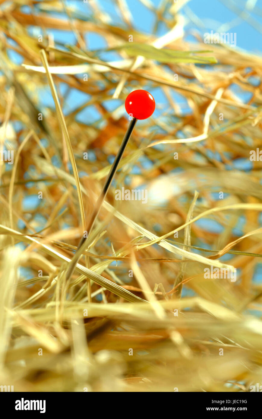 Needle in a haystack Stock Photo Alamy