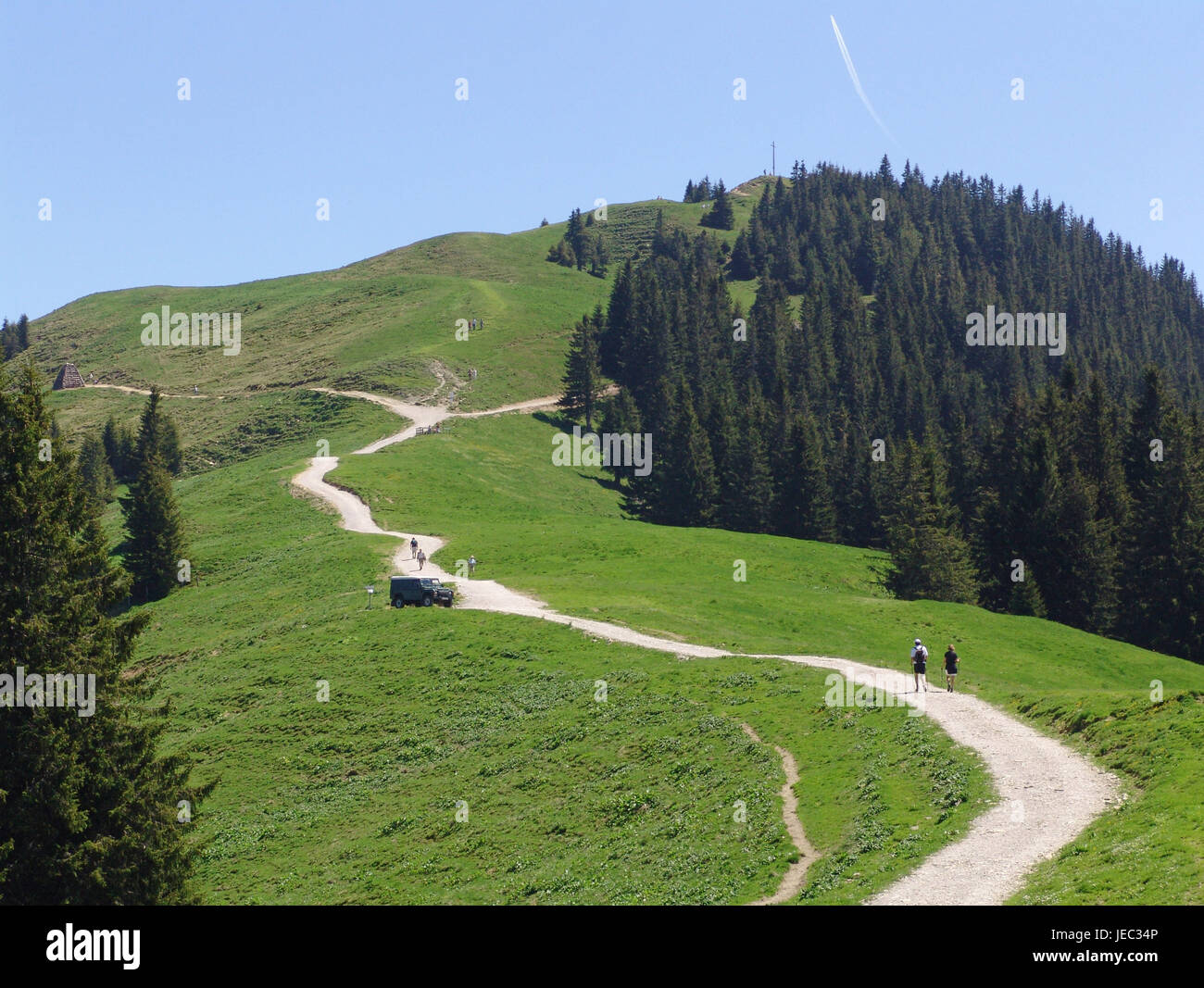 Footpath to the Hörnle with bath Kohlgrub in the Ammergauer alps, Stock Photo