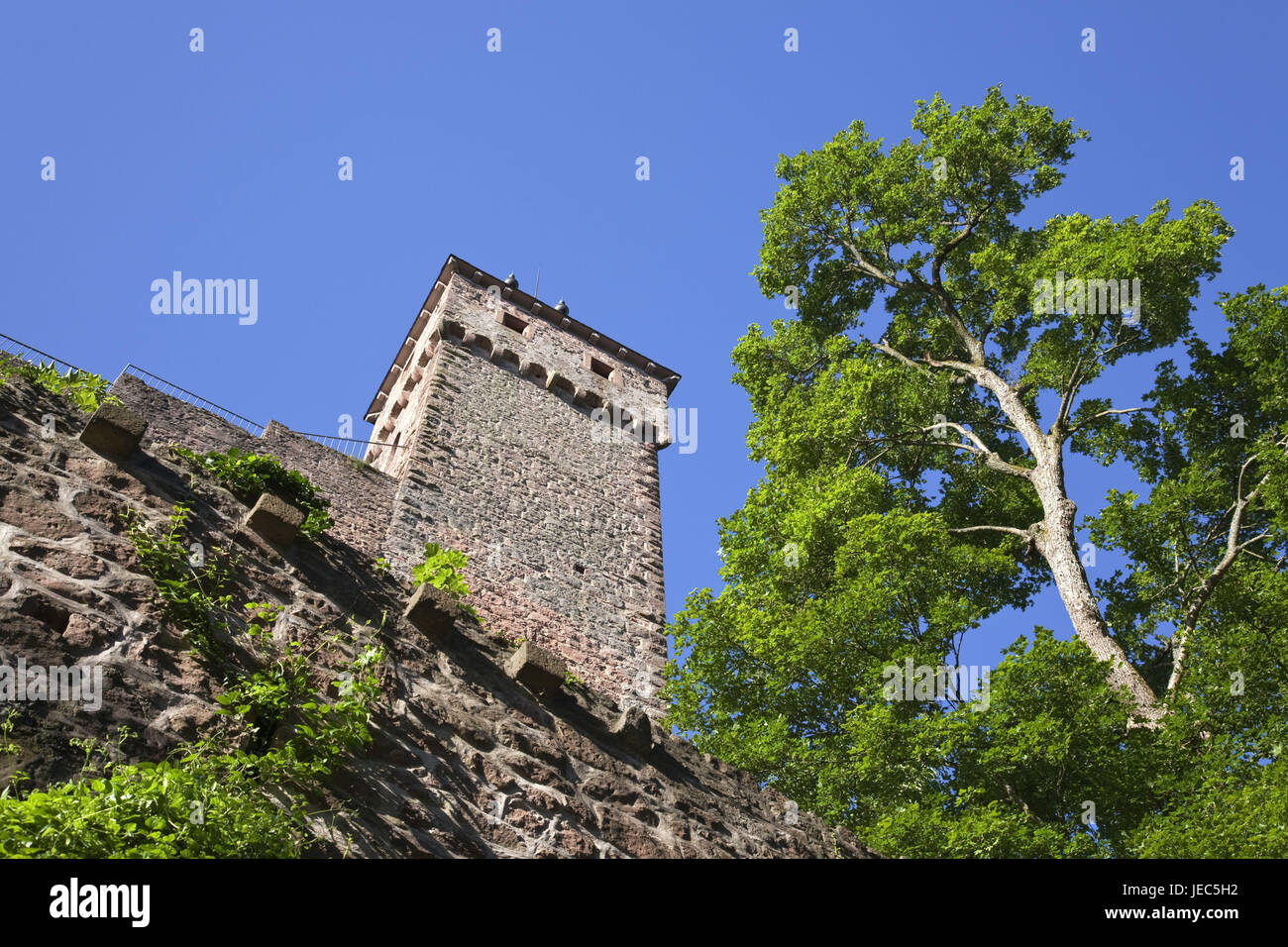 Castle buckhorn hires stock photography and images Alamy