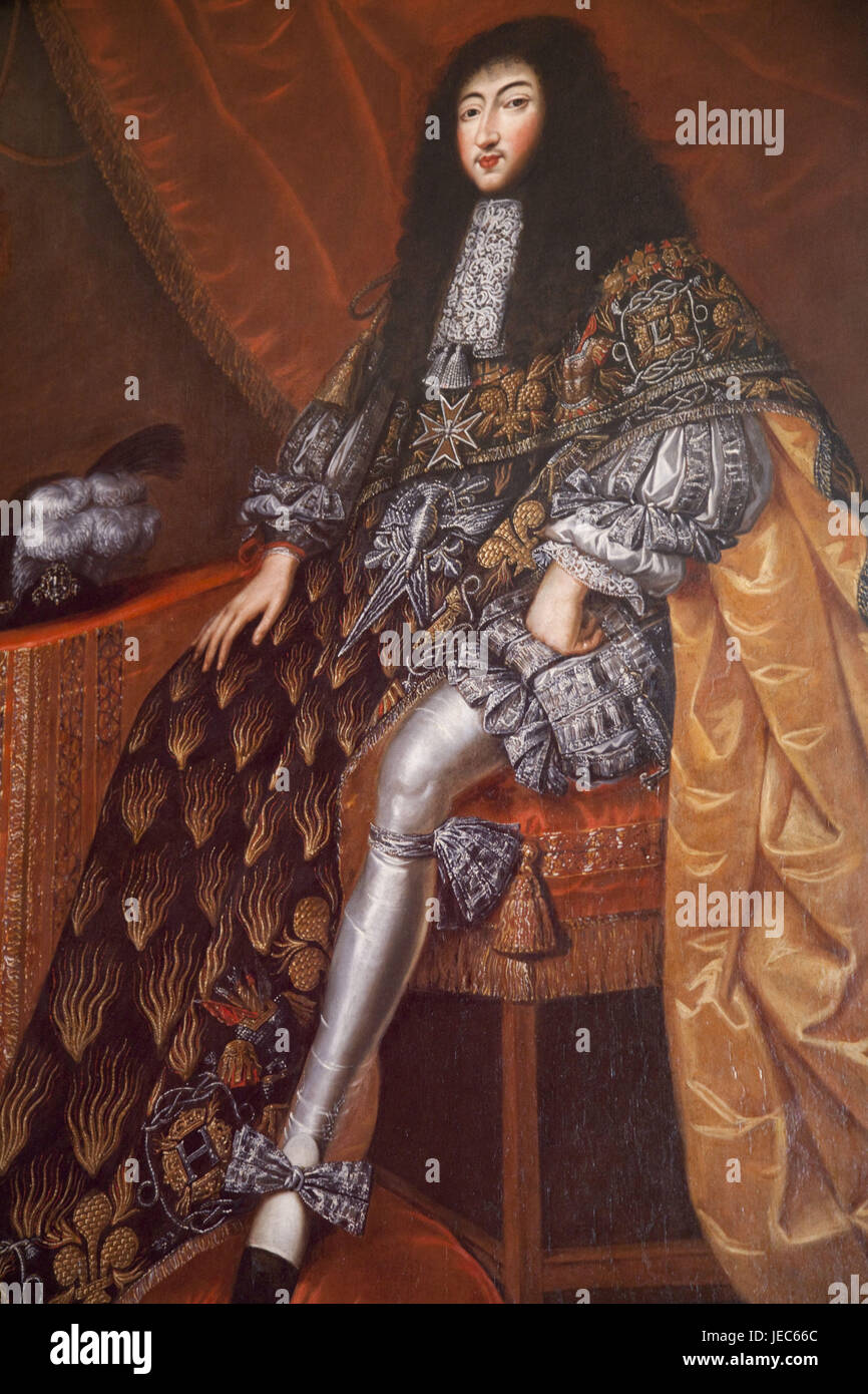 France, Loire valley, castle Chambord, painting of gas tone d'Orleans, Stock Photo