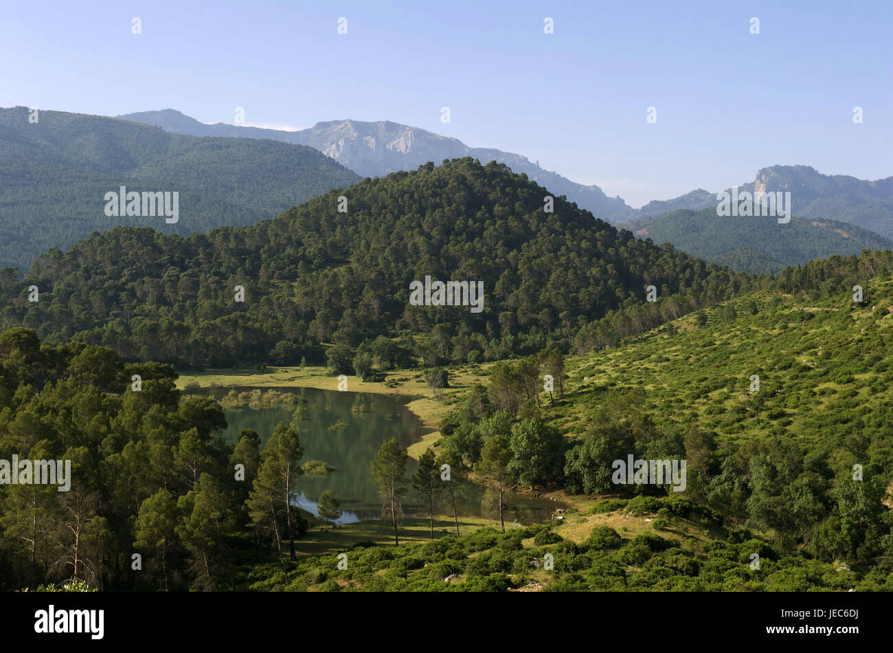 Spain, Andalusia, Sierra de Cazorla, Tranco de Beas, reservoir and wood, Stock Photo