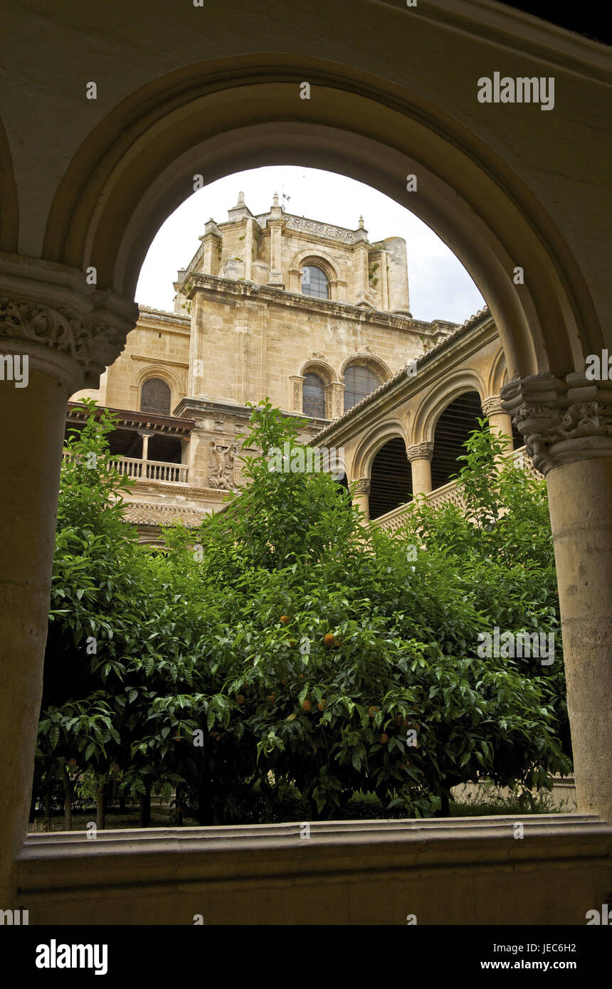 Spain, Andalusia, Granada, cloister of San Jeronimo, Stock Photo