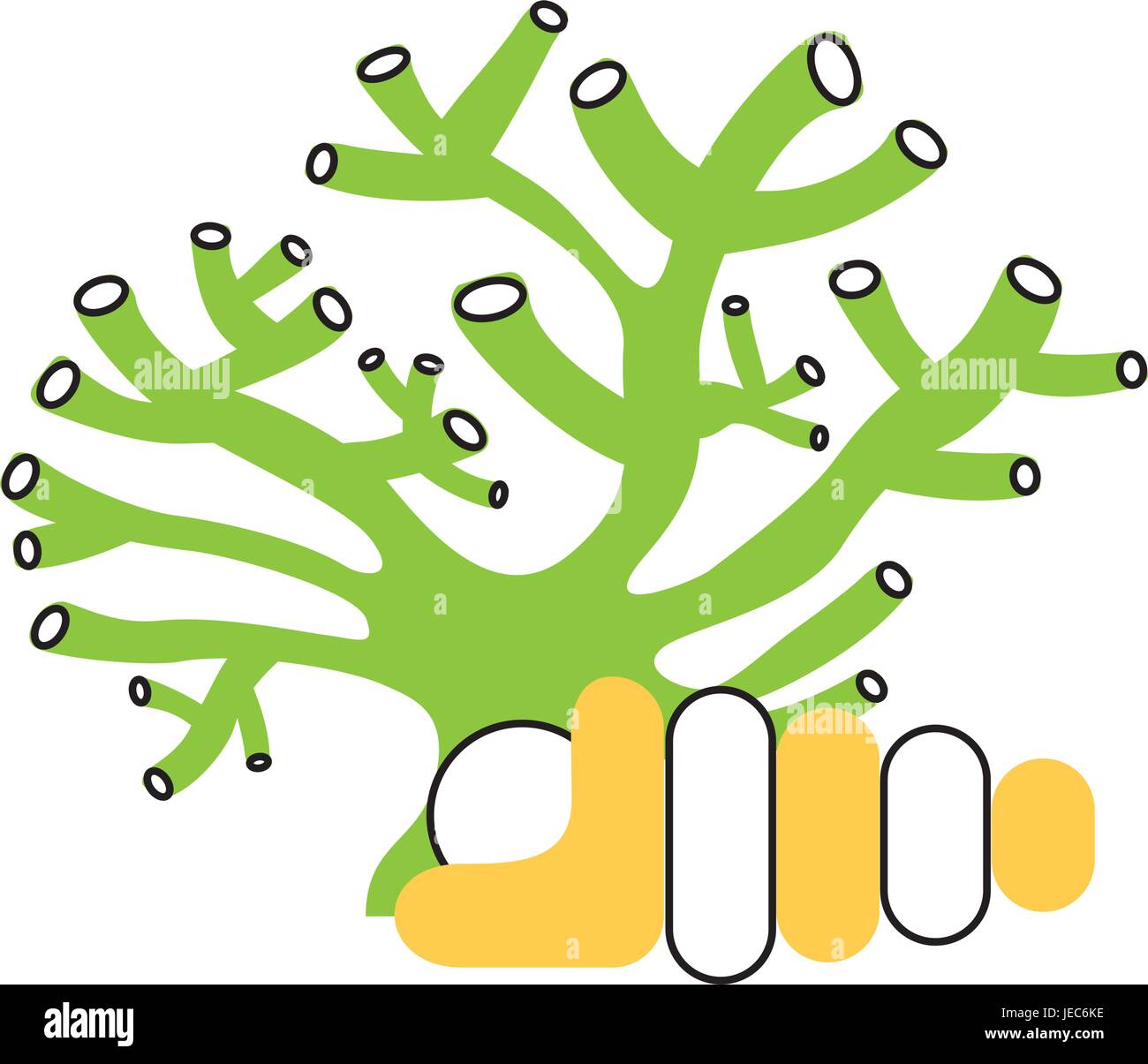 Fossil marine snail Stock Vector Images - Alamy